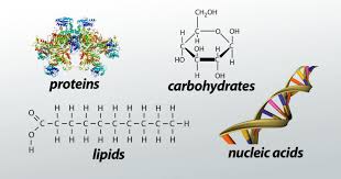 Biochemistry